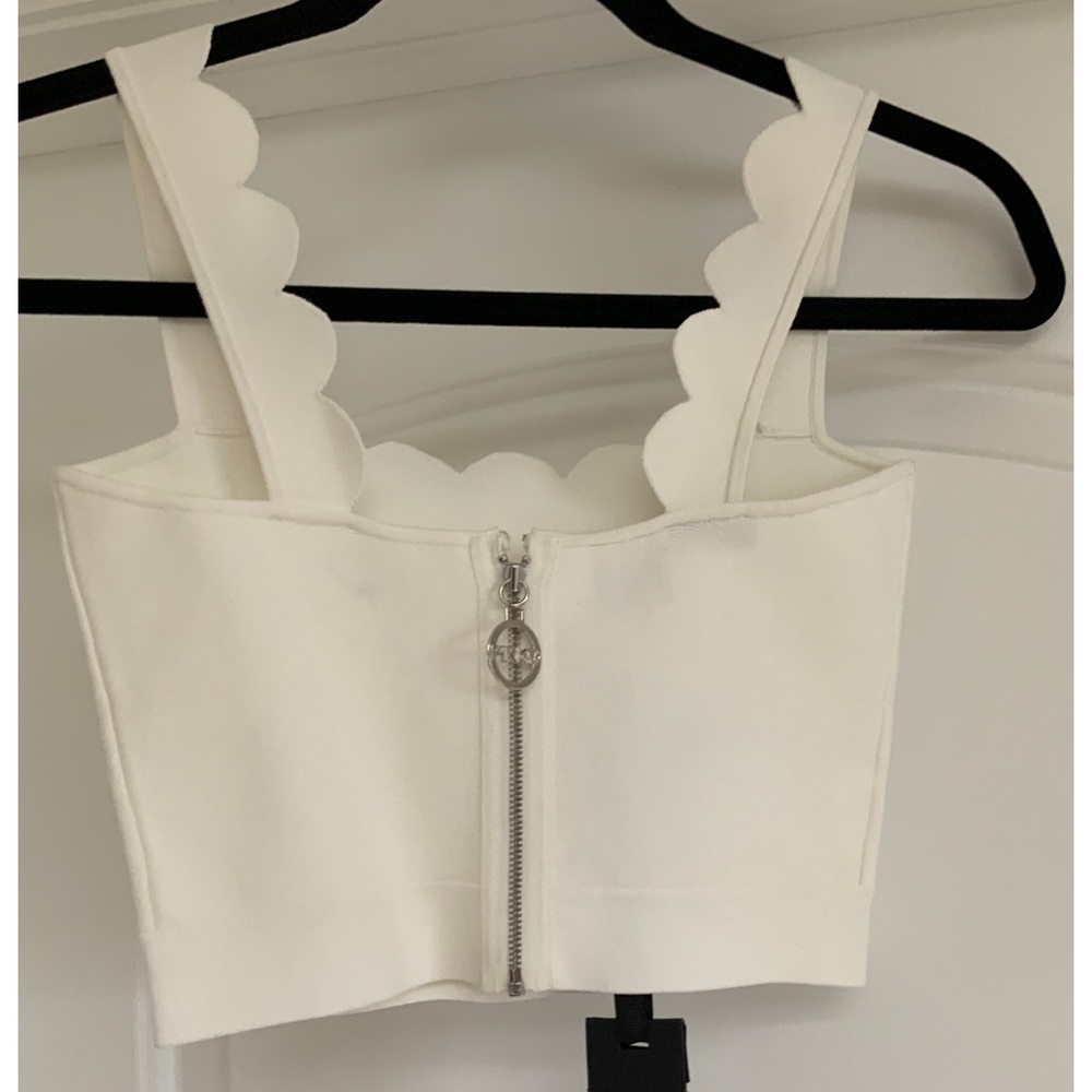 Pinko scallop cropped top